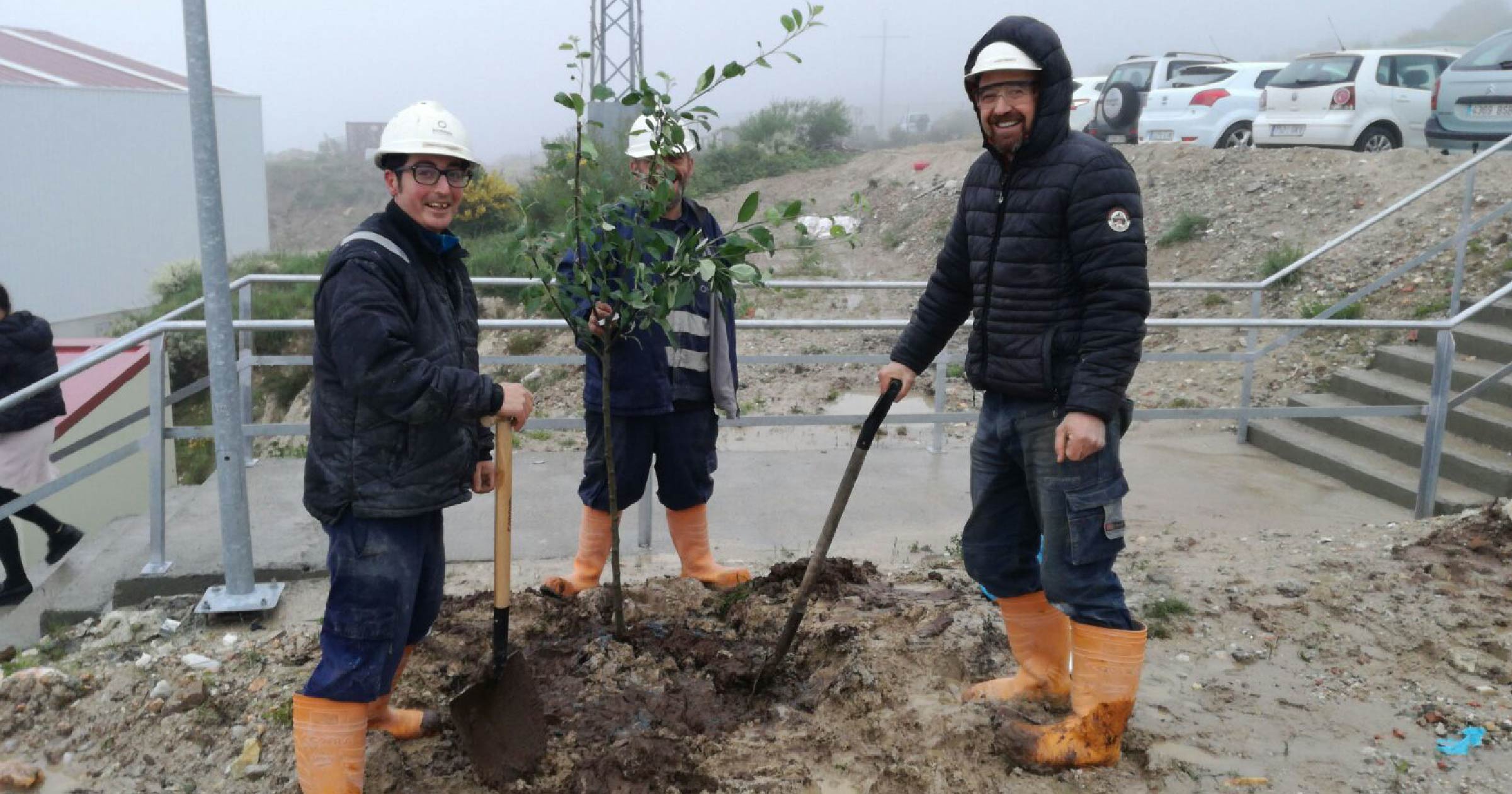 Plantación de árboles en Mina de Penouta